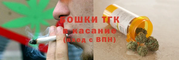 гидра Богородск
