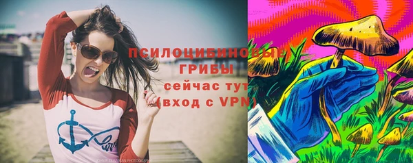 соль курить ск Богданович