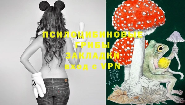 соль курить ск Богданович