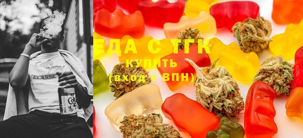 гидра Богородск