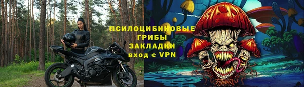 Альфа ПВП Богородицк