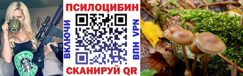 Псилоцибиновые грибы GOLDEN TEACHER  дарнет шоп  Вологда 